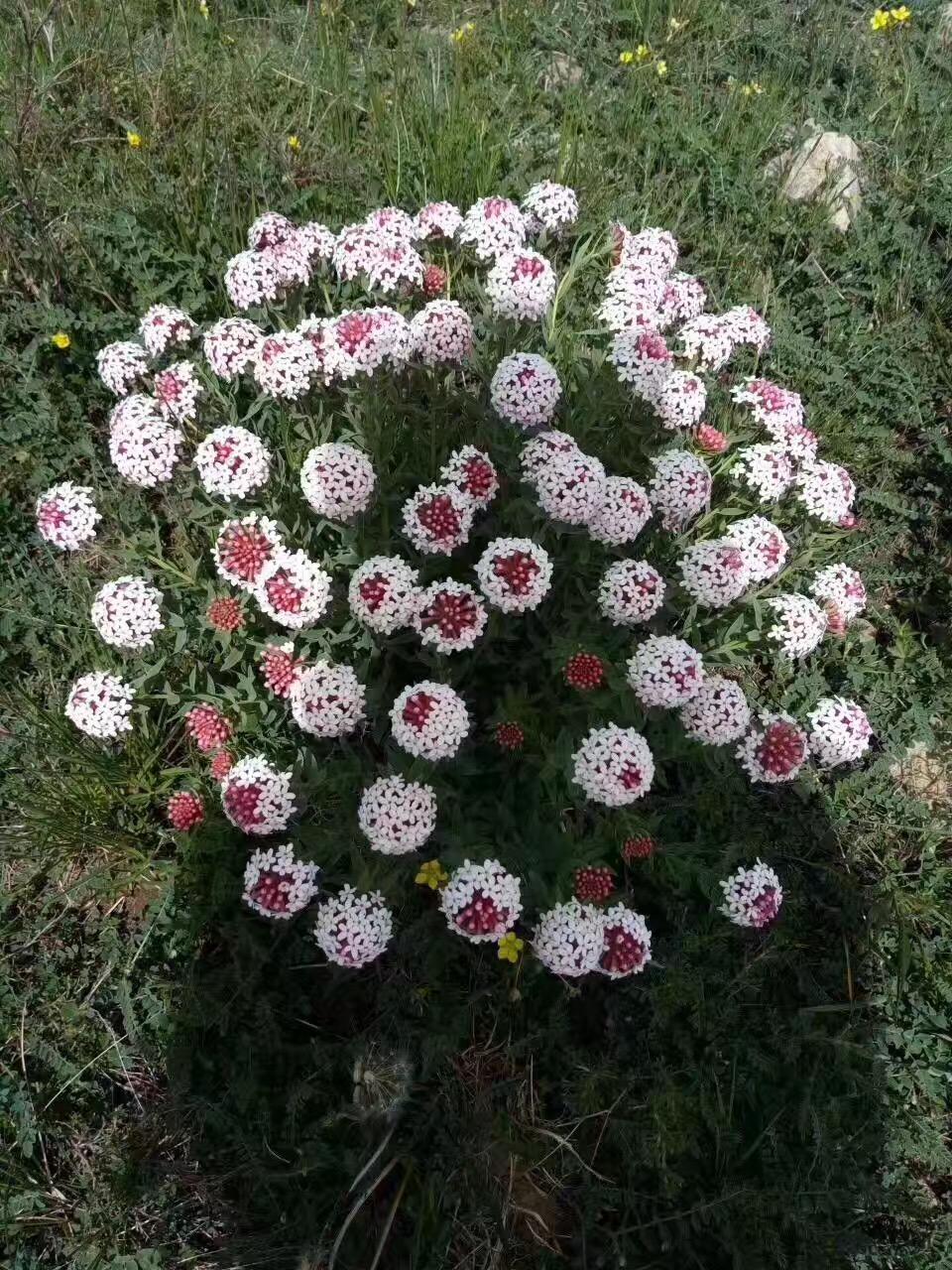 甘肃地域发展的多元视角深度探讨