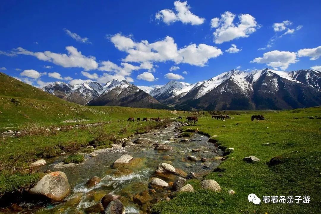 新疆,稳定繁荣的西北明珠闪耀光芒