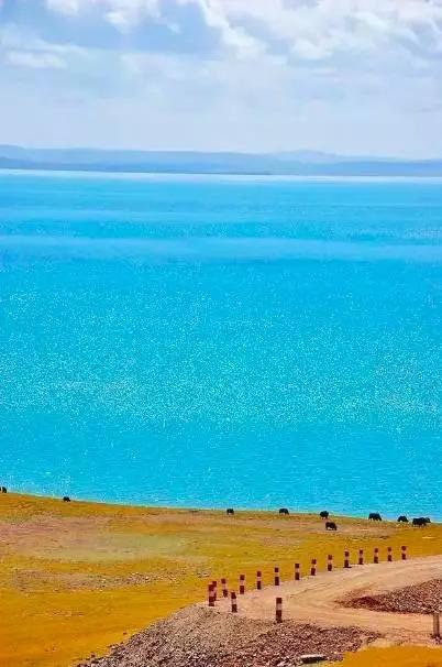 高原瑰宝之旅,探寻青海的生态与文化魅力